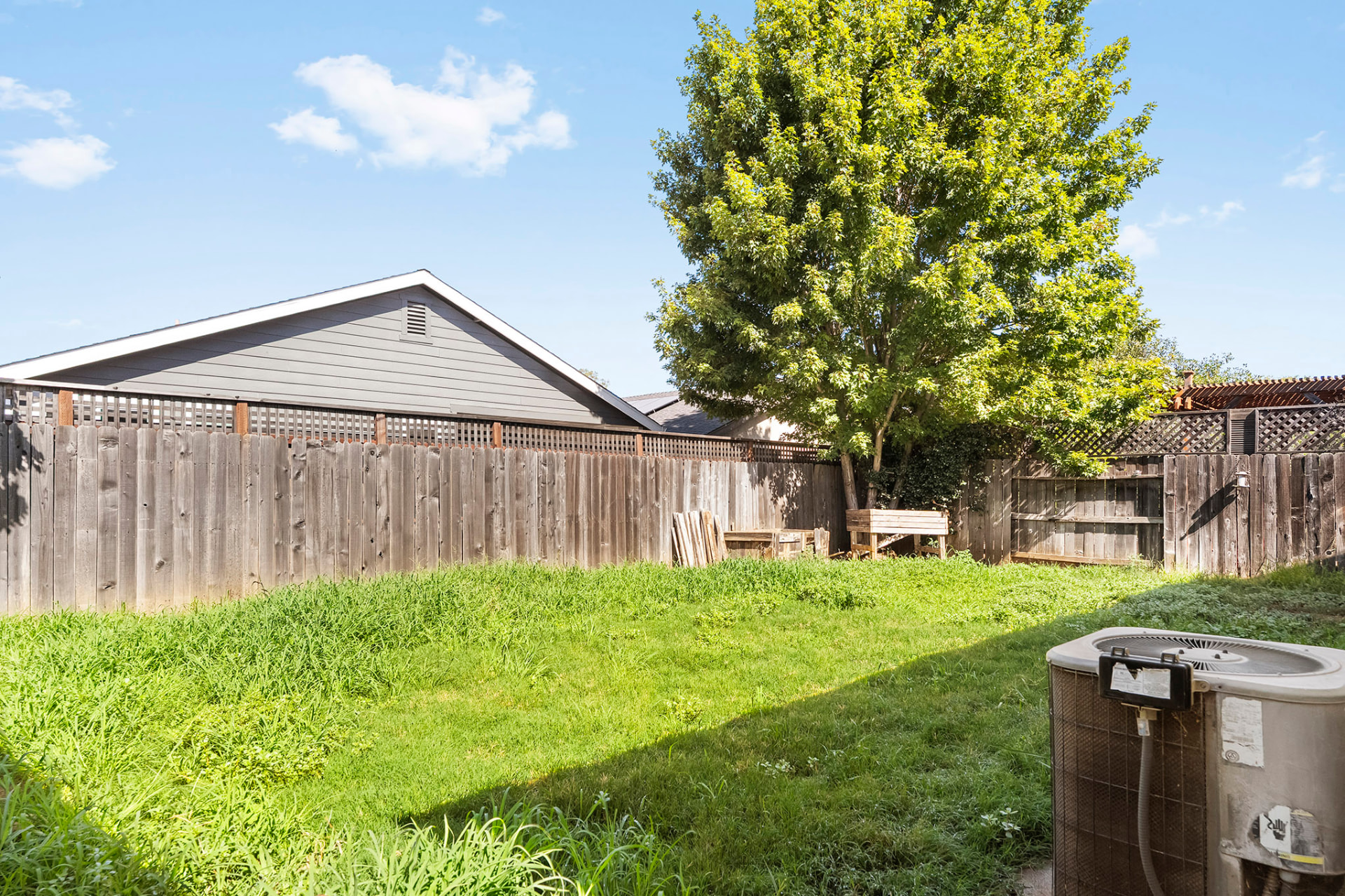 Fenced backyard with a mature shade tree